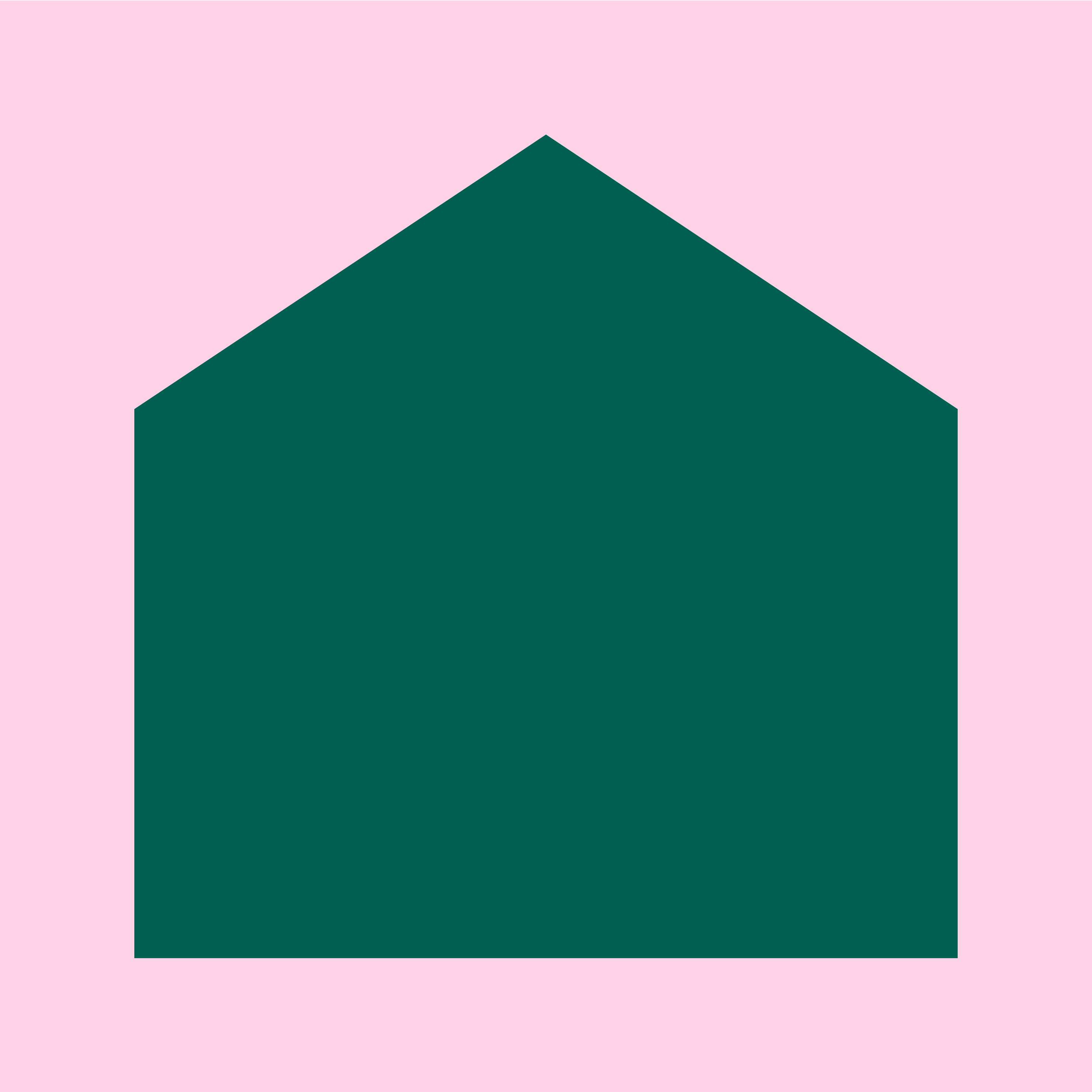 Branding Design for The AHI House Icon in Green on Pink